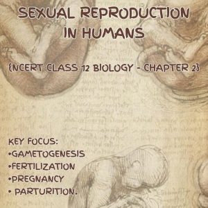 Sexual Reproduction in Humans Cover